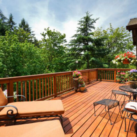 &Lambda;ά&delta;&iota;&alpha; &epsilon;&xi;&omega;&tau;&epsilon;&rho;&iota;&kappa;ή&sigmaf; &chi;&rho;ή&sigma;&eta;&sigmaf;