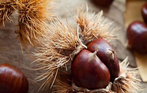 CHEF D’OEUVRE – Conservative restoration