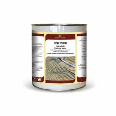 HOLZ 2000